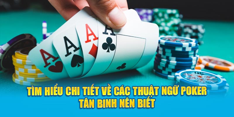 Tìm hiểu chi tiết về các thuật ngữ Poker tân binh nên biết